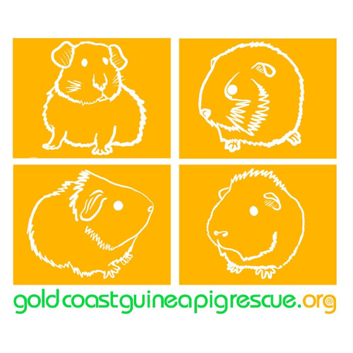 Four stylized guinea pigs, Gold Coast Guinea Pig Rescue logo.